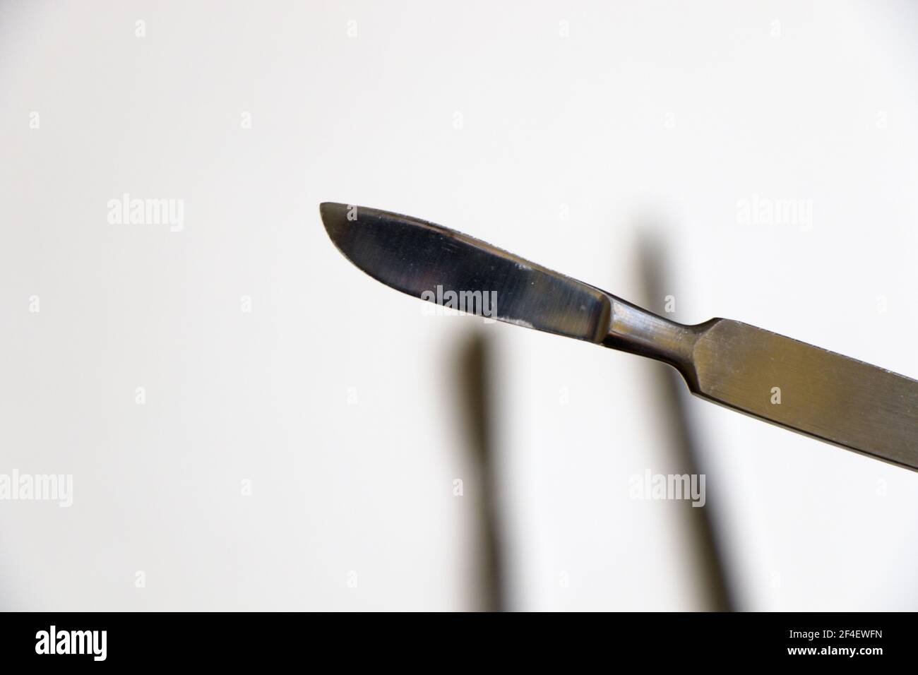 Une lame chirurgicale sur fond blanc stérile Banque D'Images
