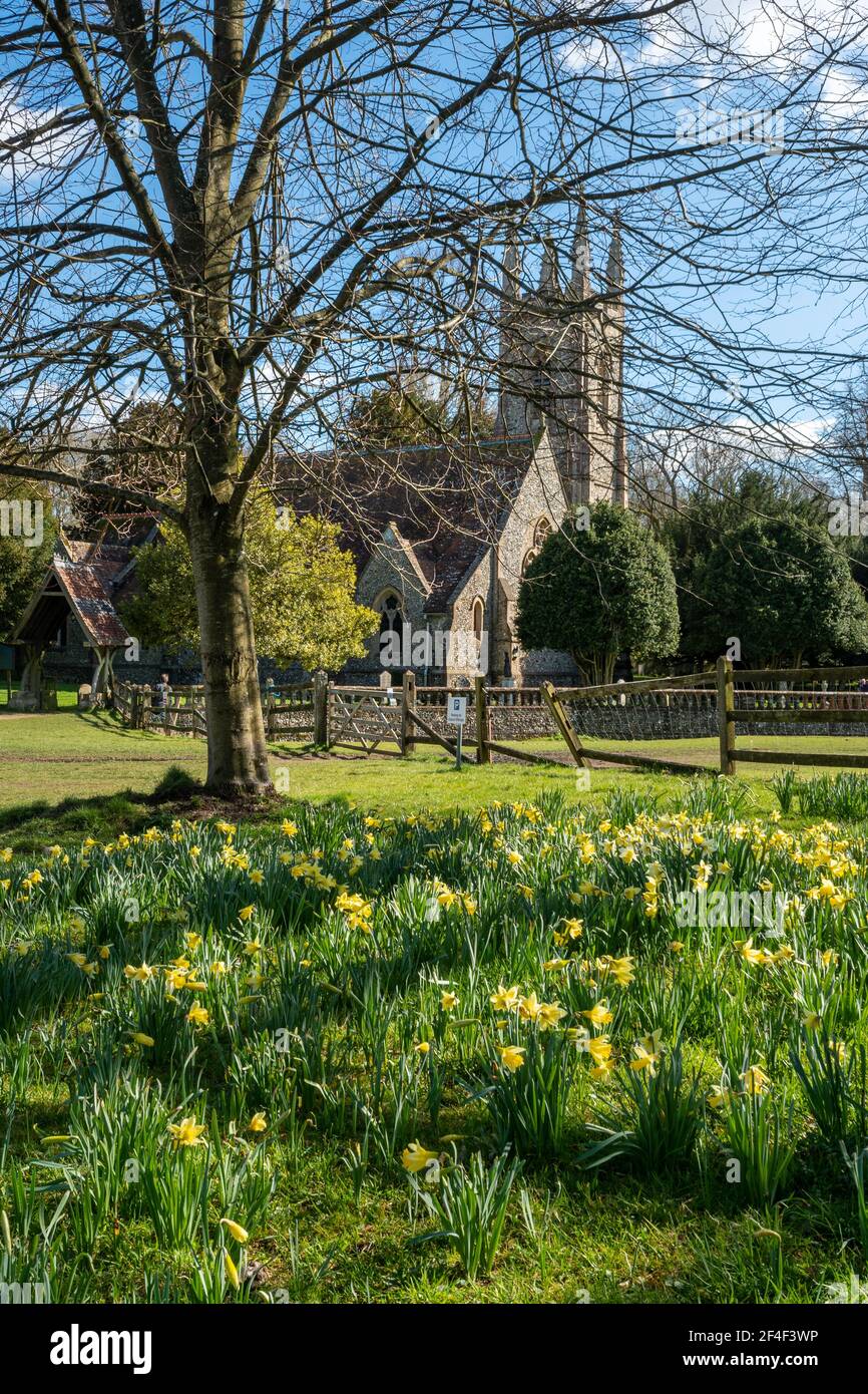 Église Saint-Nicolas dans le village Hampshire de Chawton, au Royaume-Uni, où l'auteur célèbre Jane Austen était présent, au printemps avec des jonquilles en fleur Banque D'Images