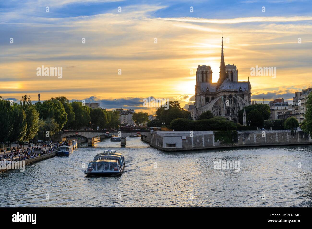 Cathédrale notre Dame de Paris et Seine à paris, france Banque D'Images