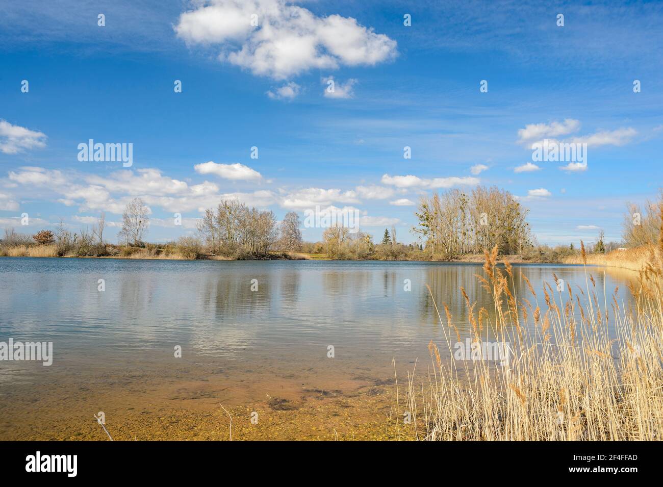 Niveau d'eau de Brumath, près de Strasbourg en France. Lors d'un bel après-midi de mars, les couleurs du ciel se reflètent dans l'eau du lac. Banque D'Images