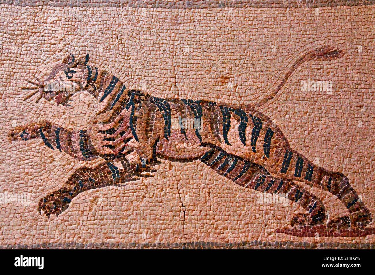 Mosaic Racing Tiger, Pafos, Maison de Dionysos, le Porticus du Sud, salle 12, Parc archéologique de Paphos, République de Chypre Banque D'Images