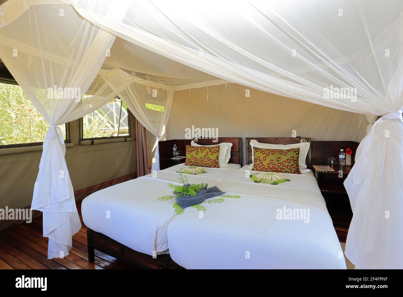 Lit d'hôtel, tente Safari, Lodge, Hôtel, moustiquaire, Safari, delta d'Okavango, Botswana Banque D'Images