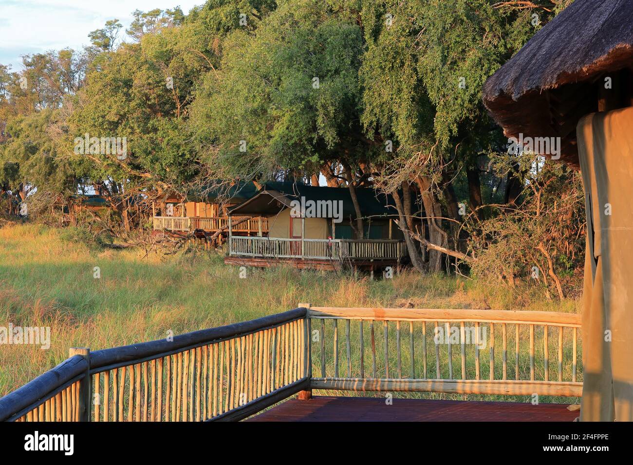 Safari Lodge, tente Safari, delta d'Okavango, Botswana Banque D'Images