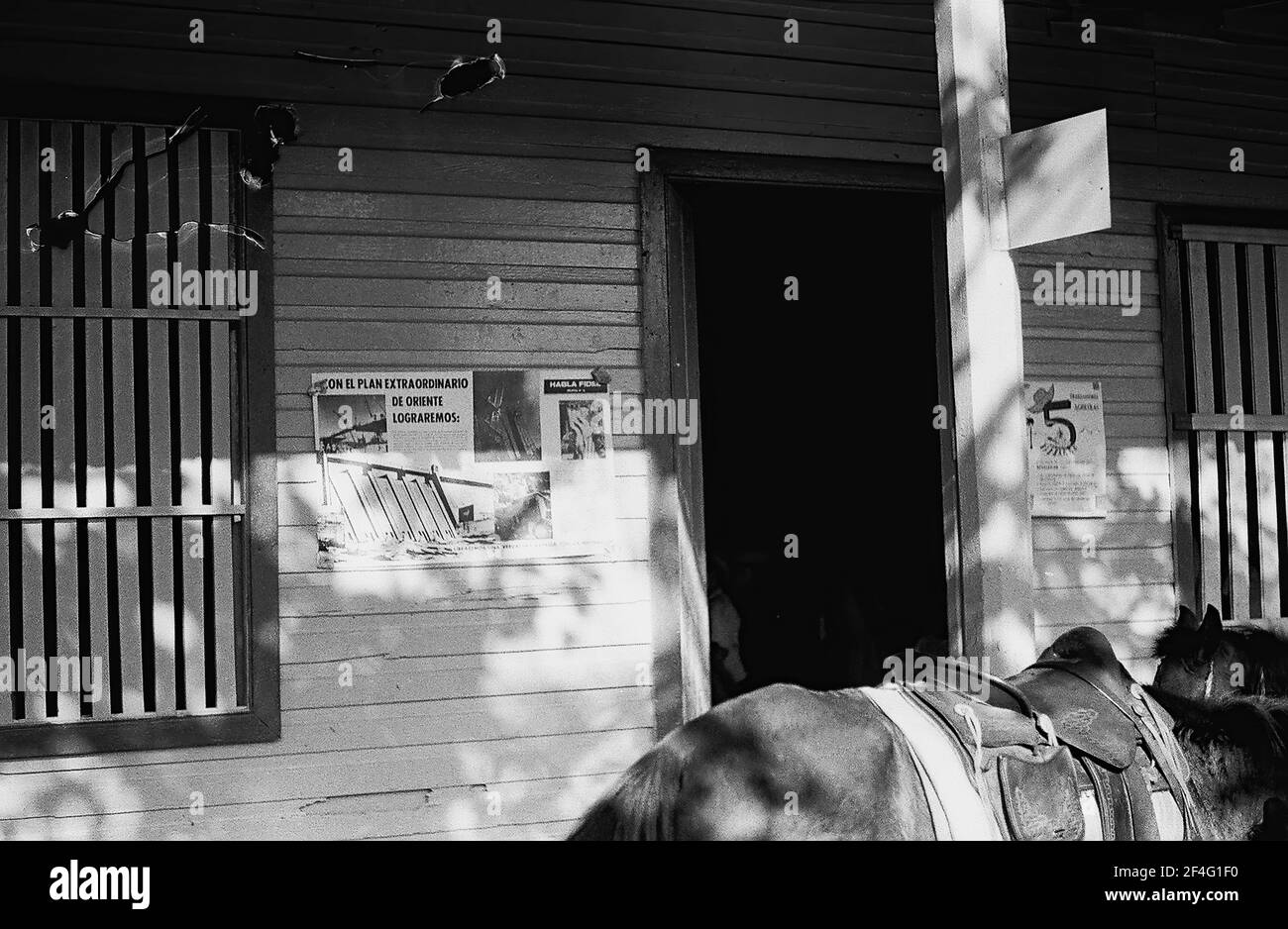Un bâtiment avec des barres sur ses fenêtres est visible au-dessus de l'arrière d'un cheval Biran, Cuba, province de Holguin, 1963. De la collection de photographies Deena Stryker. () Banque D'Images