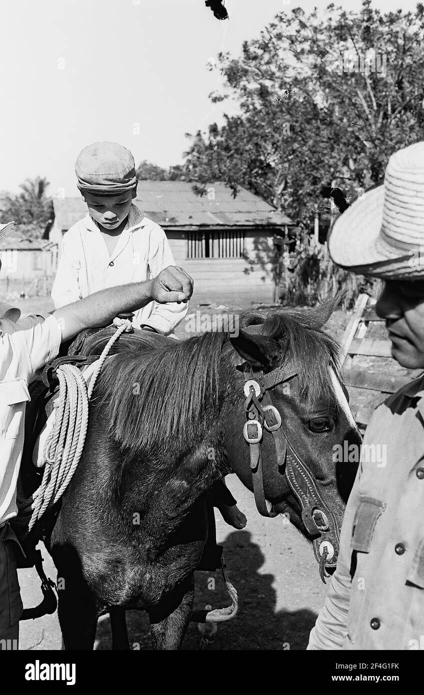 Garçon à cheval, Biran, Cuba, province de Holguin, 1963. De la collection de photographies Deena Stryker. () Banque D'Images
