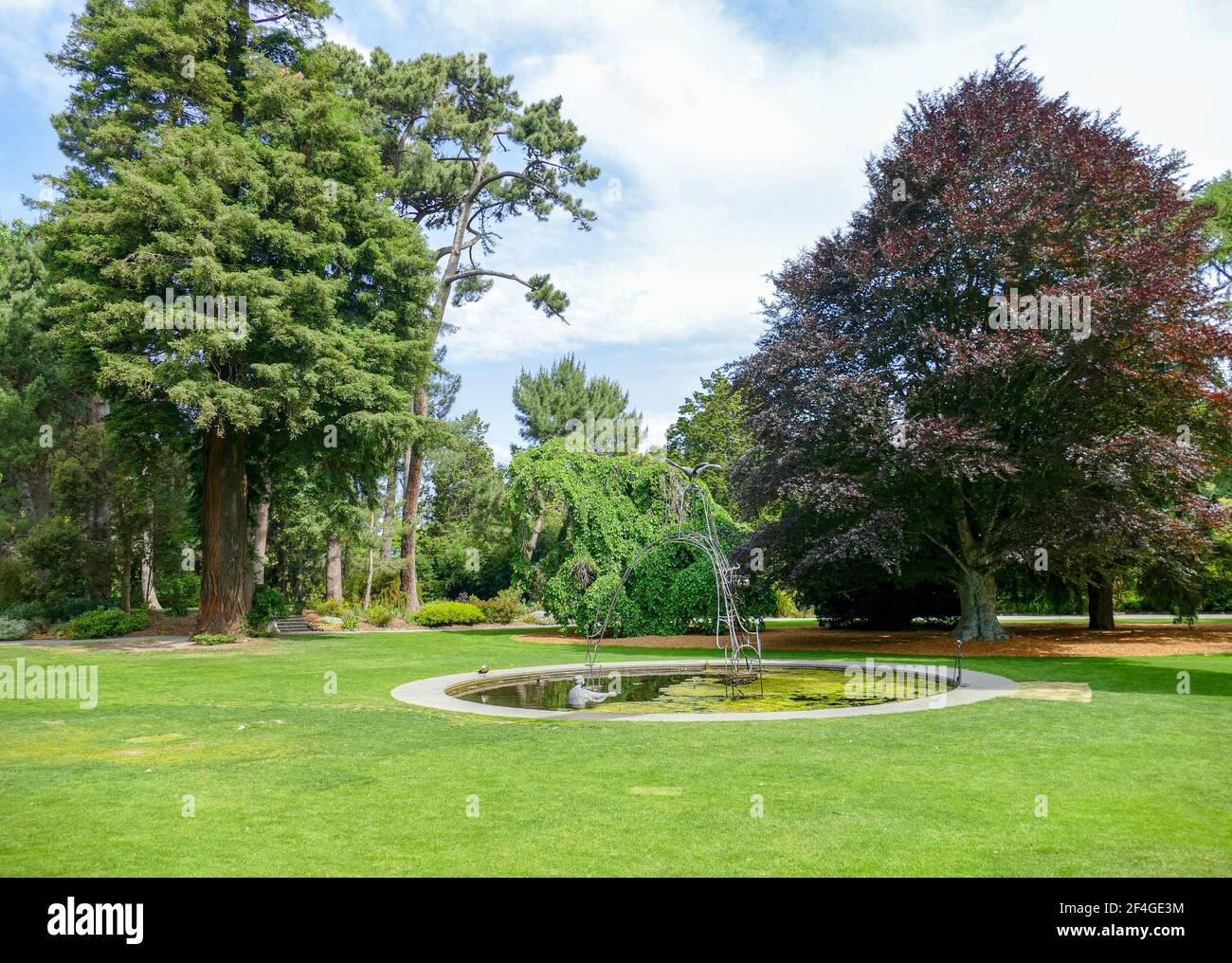 Paysage autour des jardins botaniques de Christchurch en Nouvelle-Zélande Banque D'Images