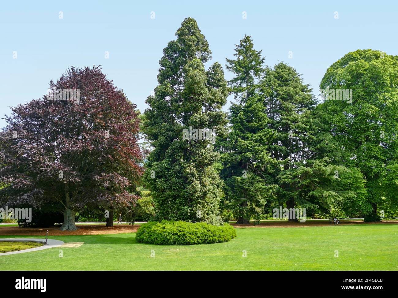 Paysage autour des jardins botaniques de Christchurch en Nouvelle-Zélande Banque D'Images