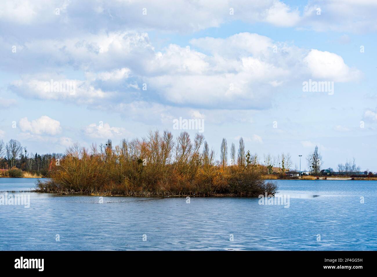 Île inhabitée dans un lac d'Alsace, France. Cette île couverte d'arbres offre un abri aux colonies d'oiseaux migrateurs. Banque D'Images