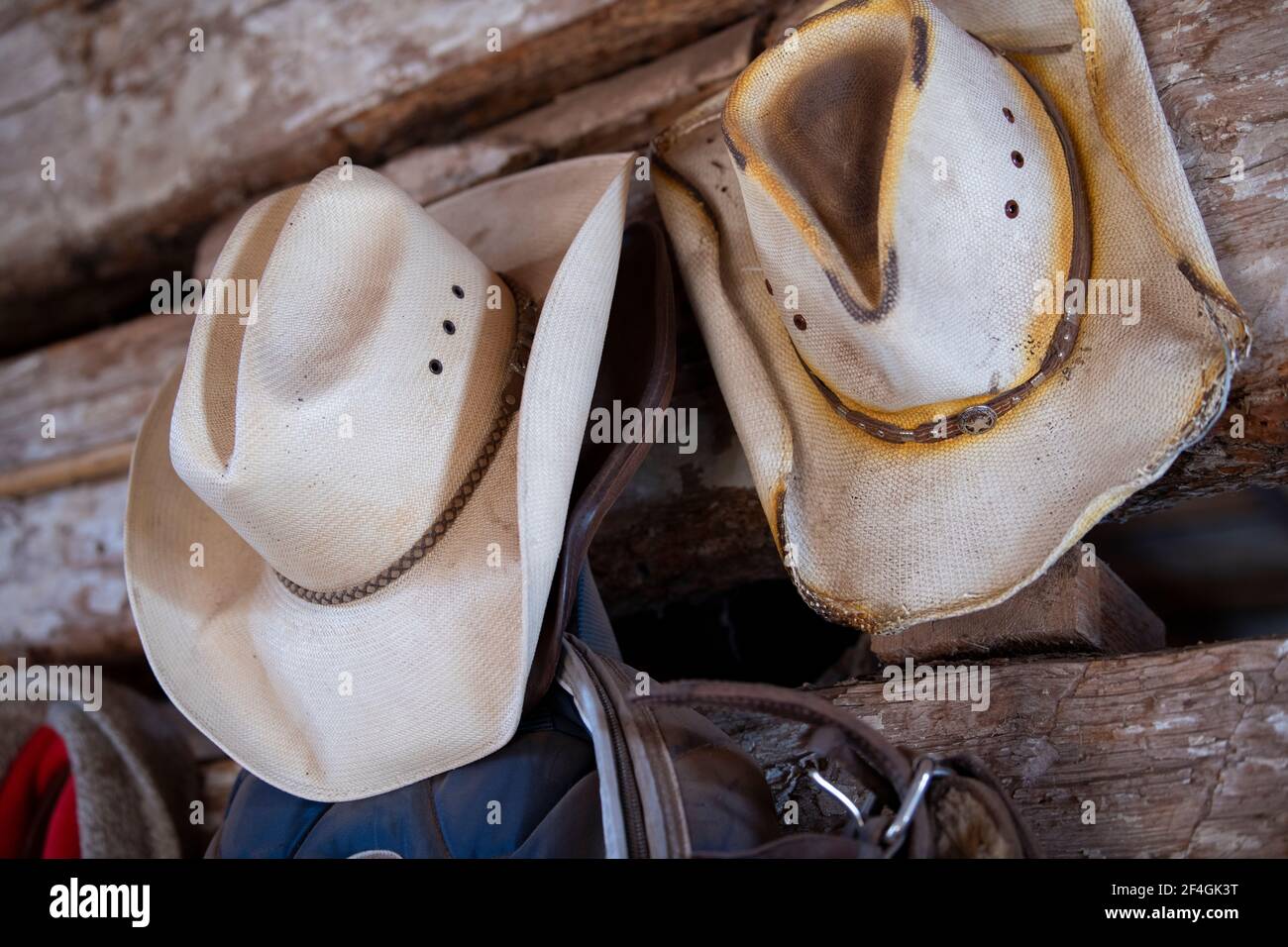 États-Unis, Colorado, Westcliffe, Music Meadows Ranch. Pièce de fixation, chapeau de cow-boy. Propriété libérée. Banque D'Images
