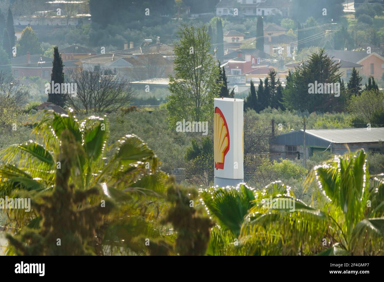 Albolote, Espagne; mars-19, 2021: Logo de la compagnie de coquillages de la station-service d'Albolote (Espagne) se tenant entre les palmiers Banque D'Images
