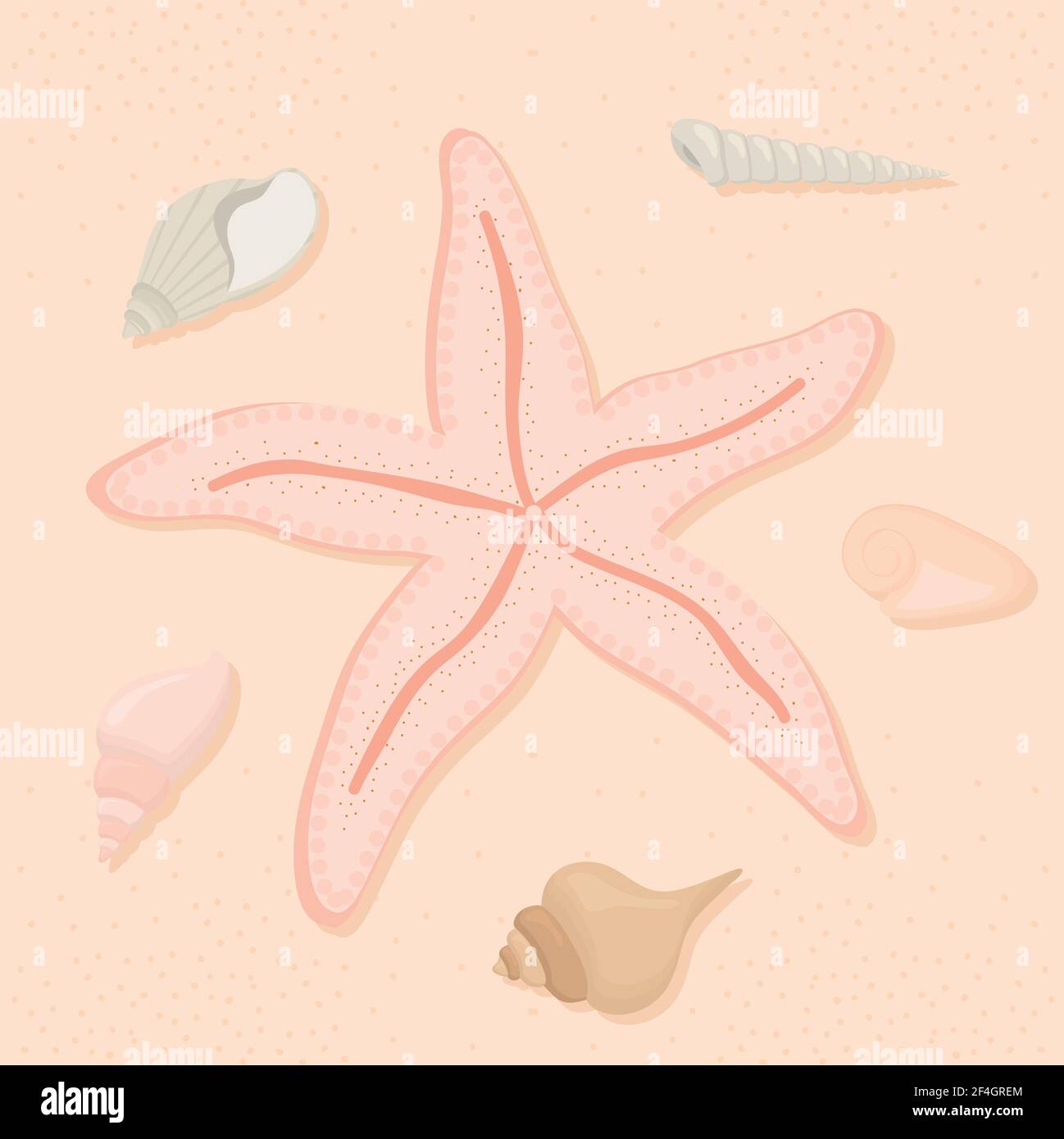 Les étoiles de mer et les coquillages Illustration de Vecteur
