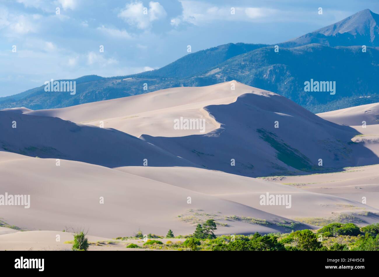 Parc national de Great Sand Dunes, Colorado, États-Unis. De magnifiques dunes de sable majestueuses et des pics de montagne. Lieu de destination du voyage. Banque D'Images