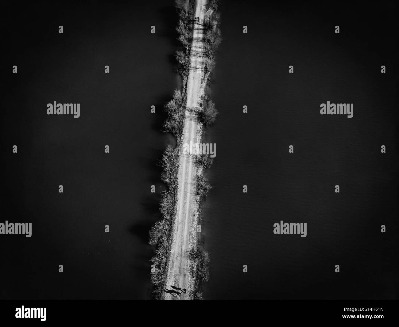 Vue aérienne de la barre de sable passant au-dessus de l'étang de pêche, la divisant en deux parties avec des arbres sans feuilles poussant des deux côtés, photographiés en noir et blanc Banque D'Images