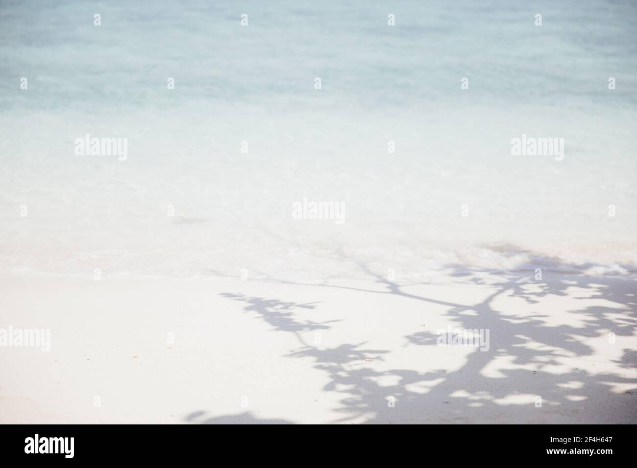 Fond de mer et de sable avec mise au point floue Banque D'Images