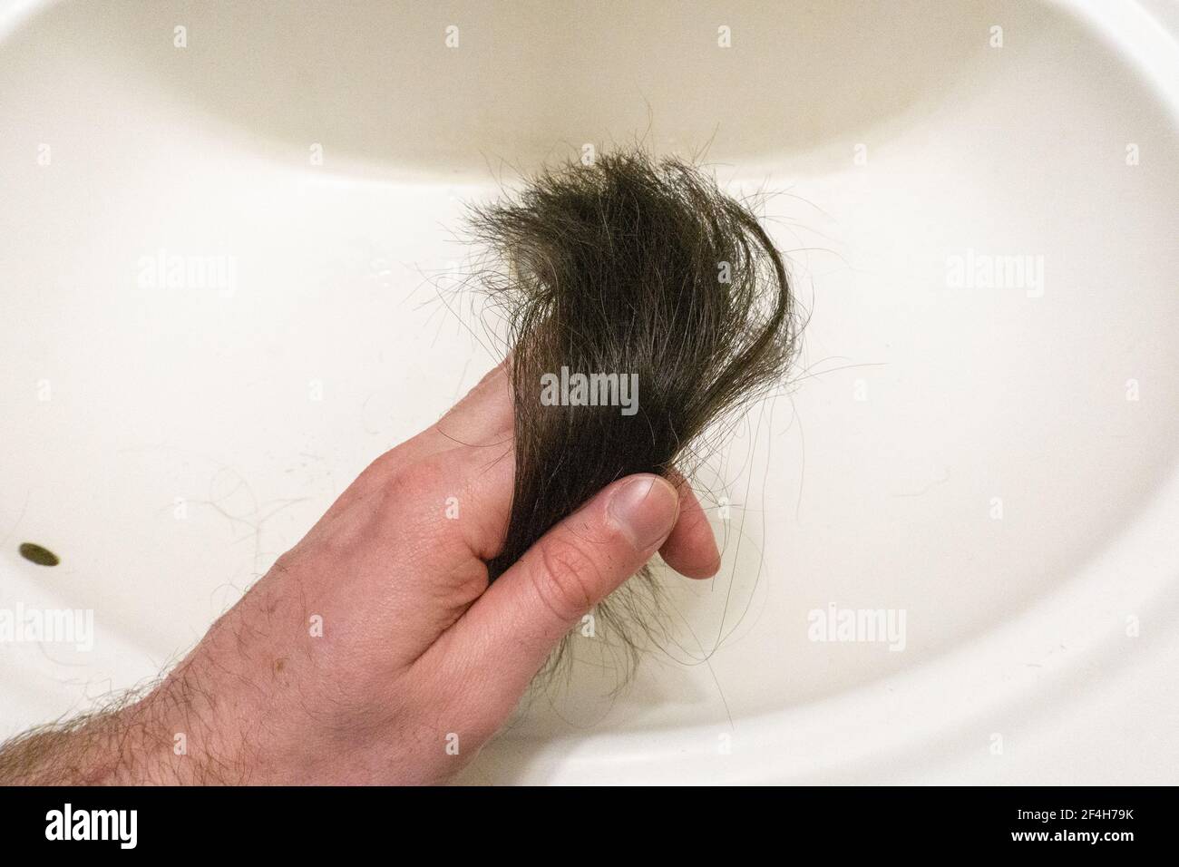 Tenir les cheveux à la main dans l'évier après le rasage tête Banque D'Images