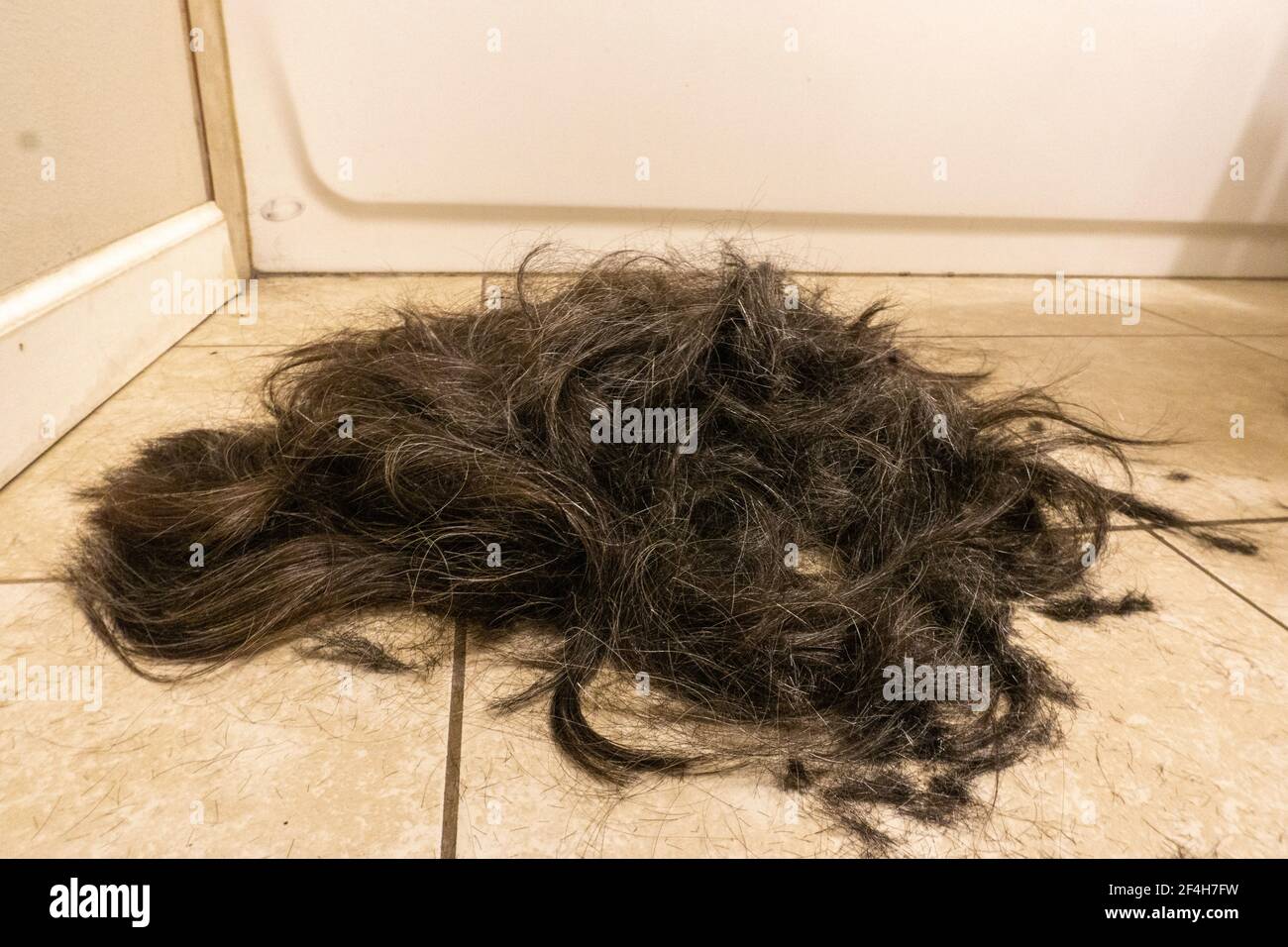 Pile de cheveux sur le sol après le rasage des cheveux longs pour couper le buzz Banque D'Images