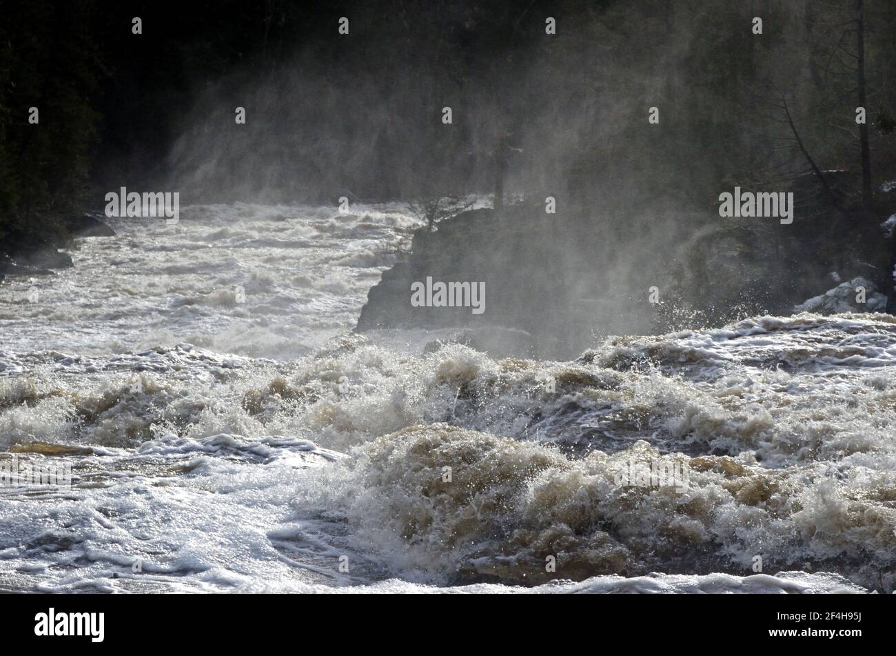 La rivière Yaak au stade des inondations après des pluies record a augmenté le volume de la rivière de 1600 % par rapport à la moyenne en décembre 2015. (Photo de Randy Beacham) Banque D'Images