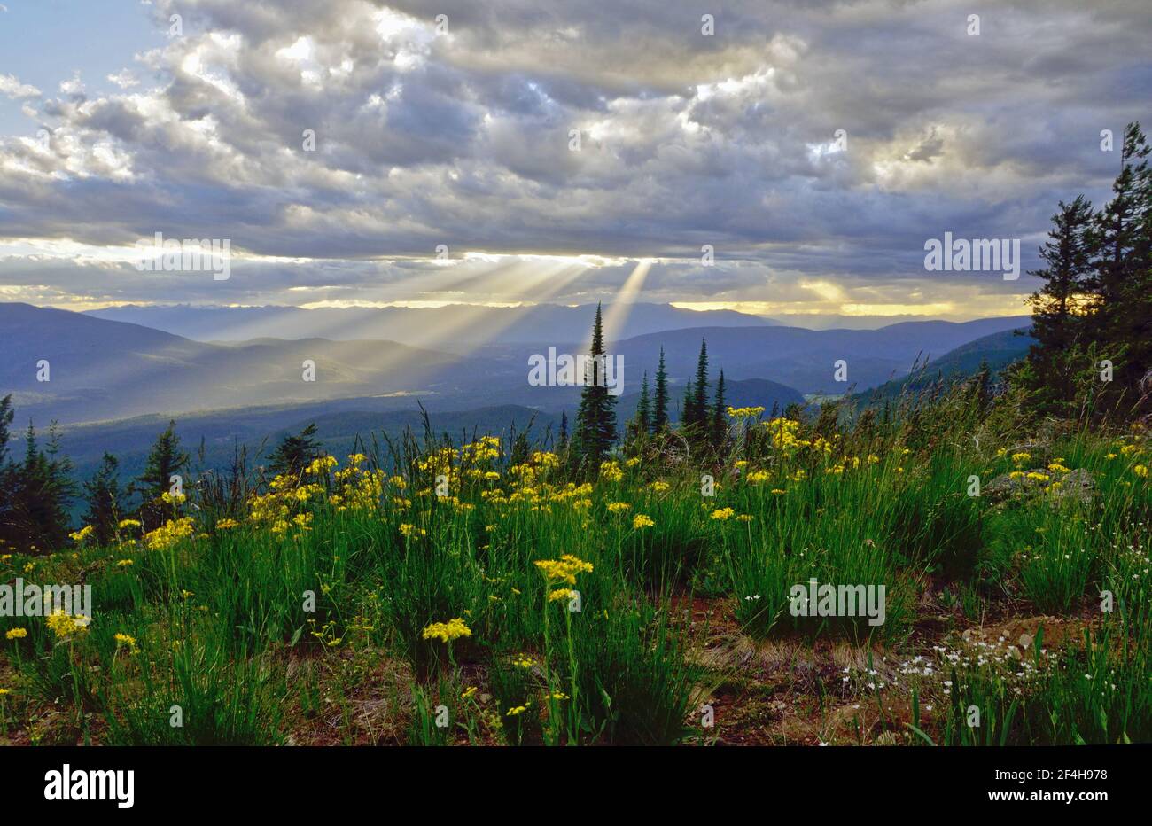 Surplombant la vallée de la rivière Kootenai dans l'Idaho depuis les montagnes Purcell dans le Montana. (Photo de Randy Beacham) Banque D'Images