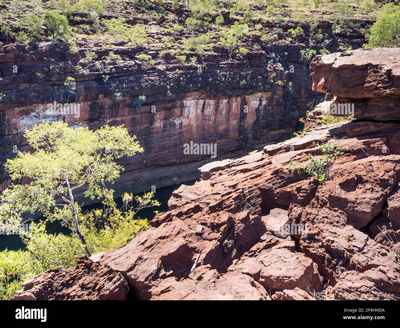 Gorge inférieure de Lawn Hill depuis Island Stack, parc national de Boodjamulla, Queensland Banque D'Images