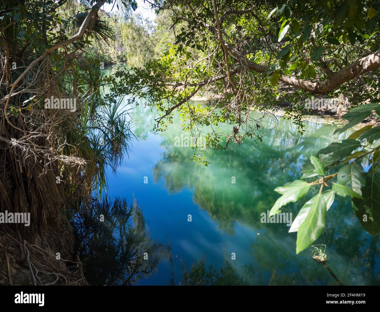 Les eaux turquoise luxuriantes bordées d'arbres de Lawn Hill Creek près de la gorge inférieure, parc national de Boodjamulla, Queensland Banque D'Images