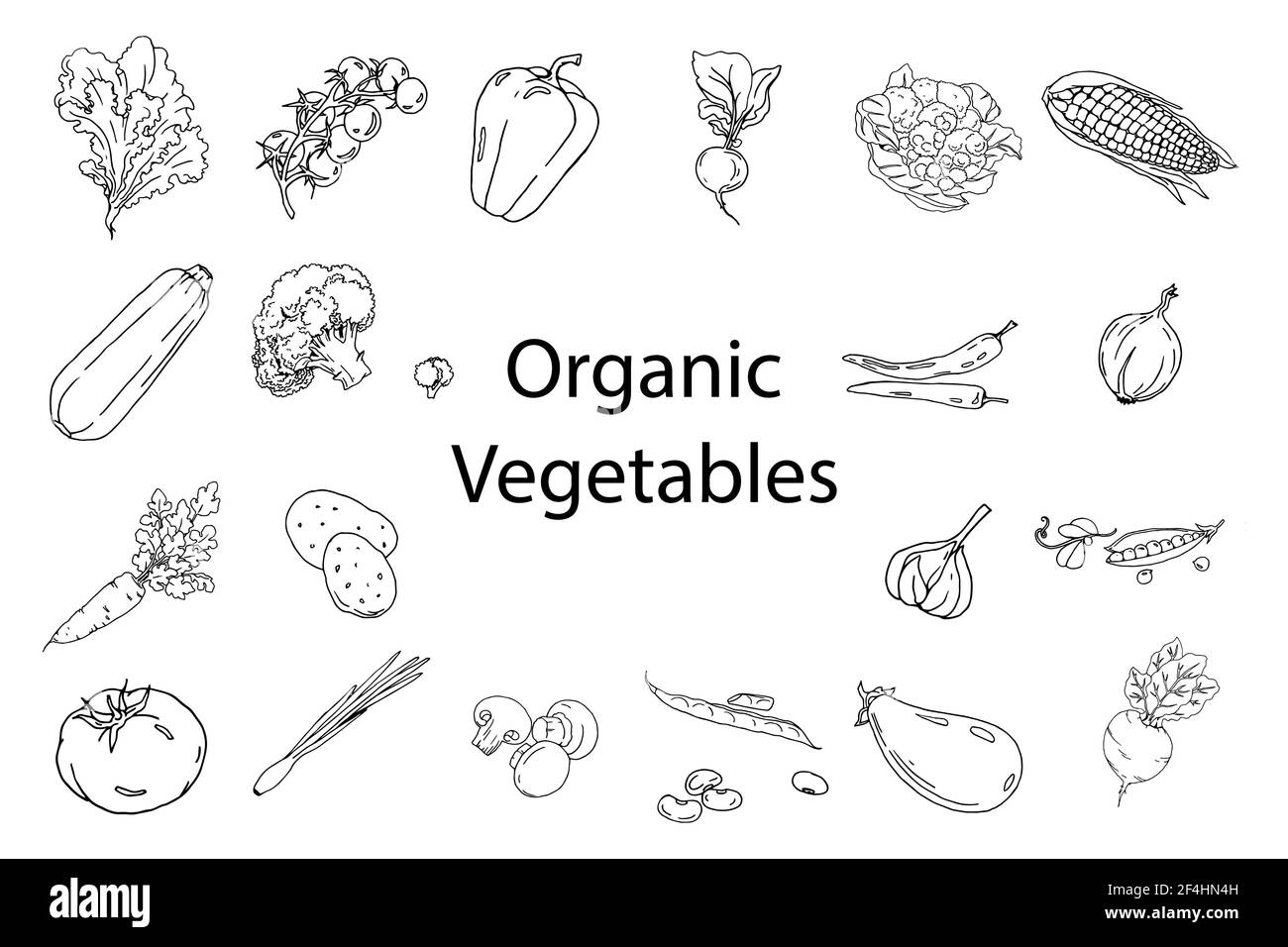 ensemble linéaire de légumes, dessin à la main, doodle noir et blanc, croquis, illustration vectorielle Illustration de Vecteur