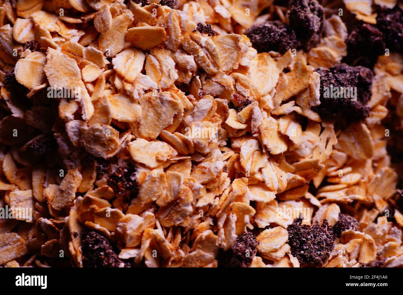 Flocons d'avoine avec raisins secs - un repas de régime, végétalien. Flocons d'avoine avec fruits en gros plan. Nutrition pendant la maladie. Alimentation et nourriture végétalienne. Banque D'Images