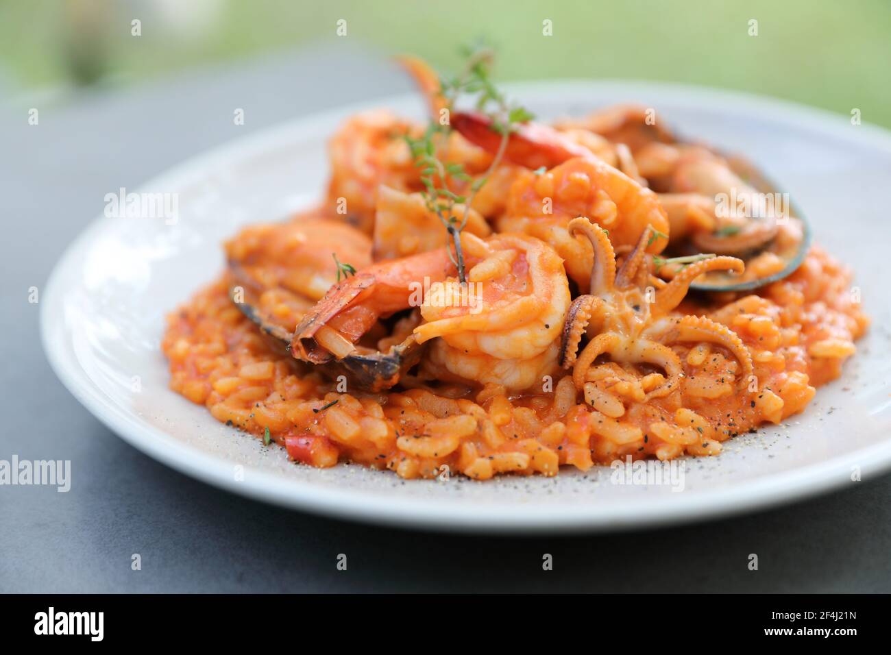 risotto aux fruits de mer avec crevettes et calmars de moules, cuisine italienne Banque D'Images