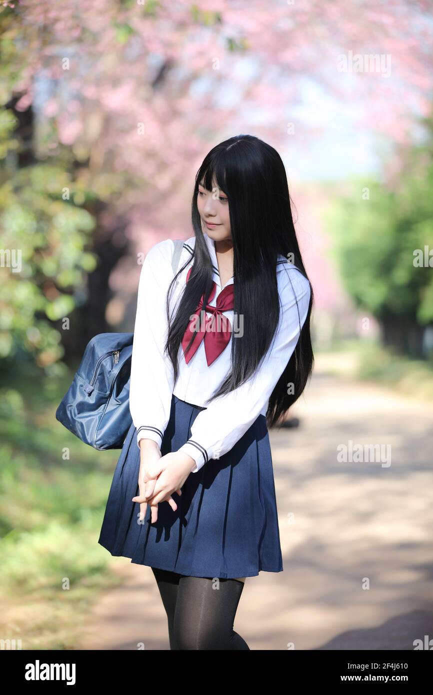 Robe de fille d'école japonaise avec sakura fleur nature allée Banque D'Images