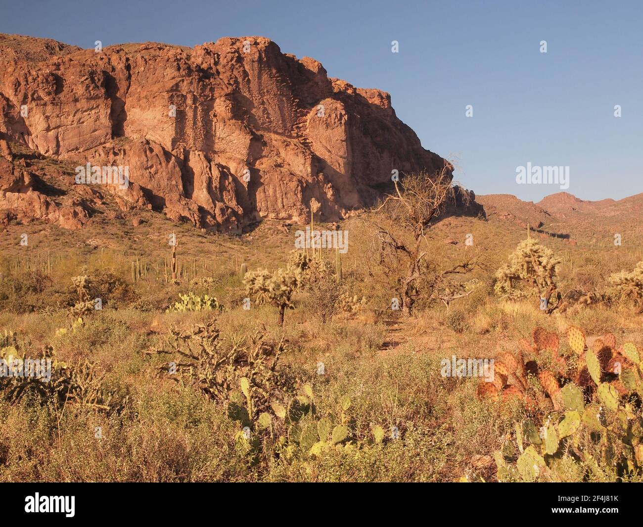 Soleil de l'après-midi sur les montagnes Superstition depuis le Peralta Trailhead près d'Apache Junction, Arizona. Site de nombreux sentiers qui offrent des vues incroyables Banque D'Images