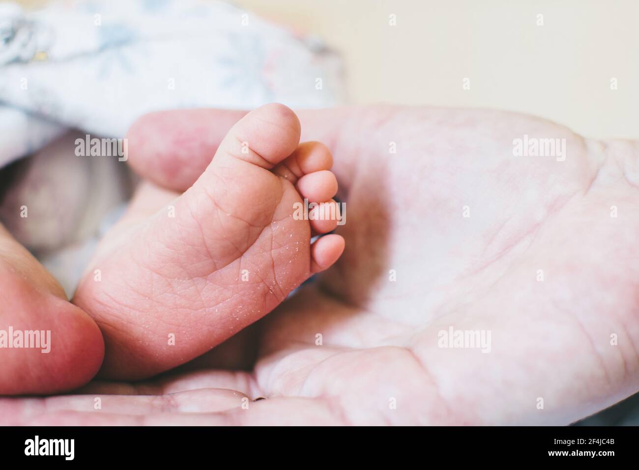 Nouveau-né talons dans la paume de la mère. Concept de famille et de maison. Soins de santé, pédiatrie. Une matinée confortable à la maison. Maternité. Banque D'Images