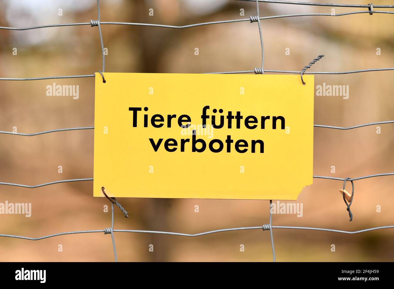 Panneau jaune indiquant « alimentation des animaux interdite » en langue allemande suspendu sur la clôture Banque D'Images