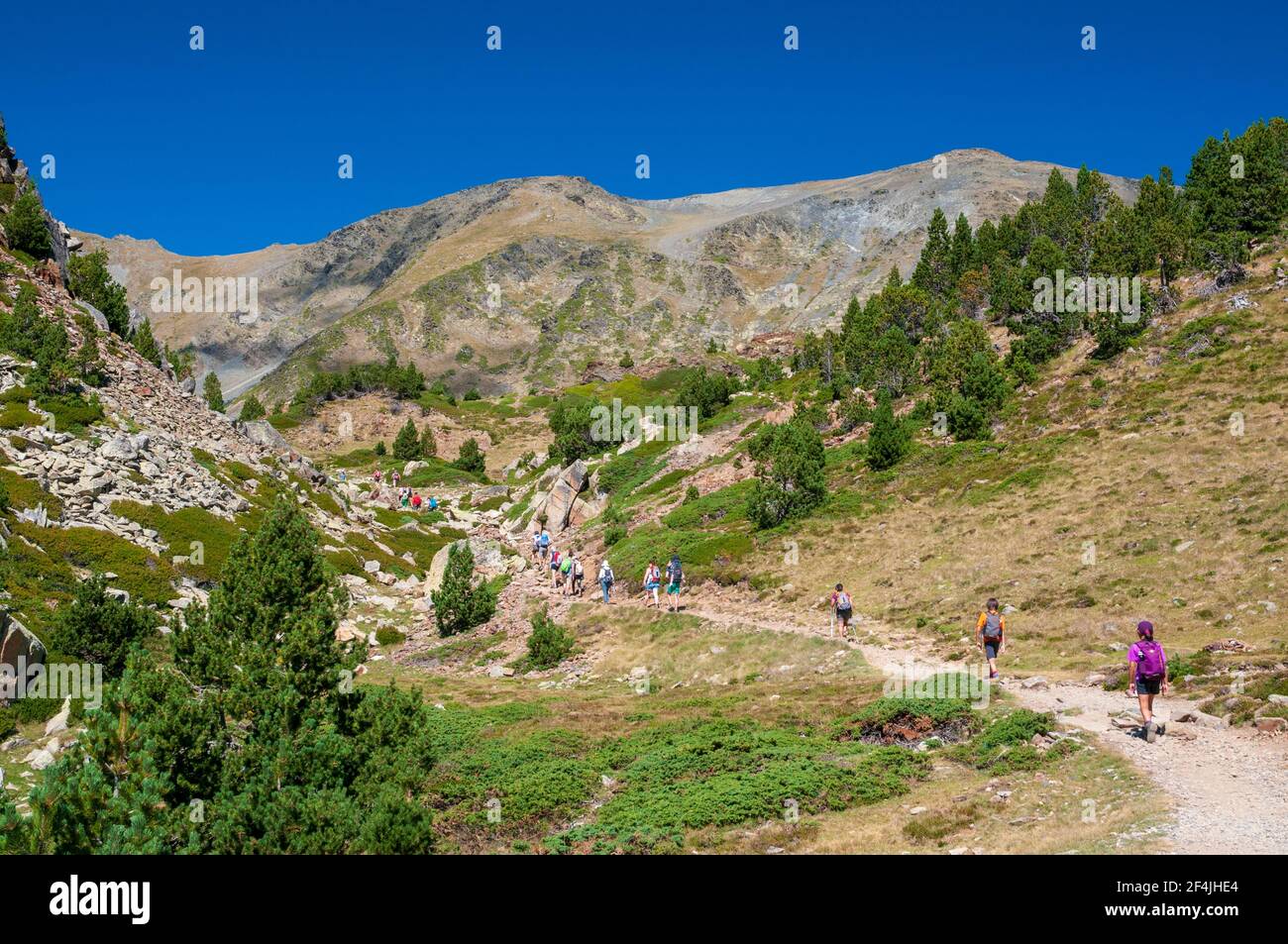 Randonneurs sur le sentier autour des lacs de Bouillouses, site naturel dans la région du Capcir, Parc naturel régional des Pyrénées Catalanes, Pyrénées-Orientales (66 Banque D'Images