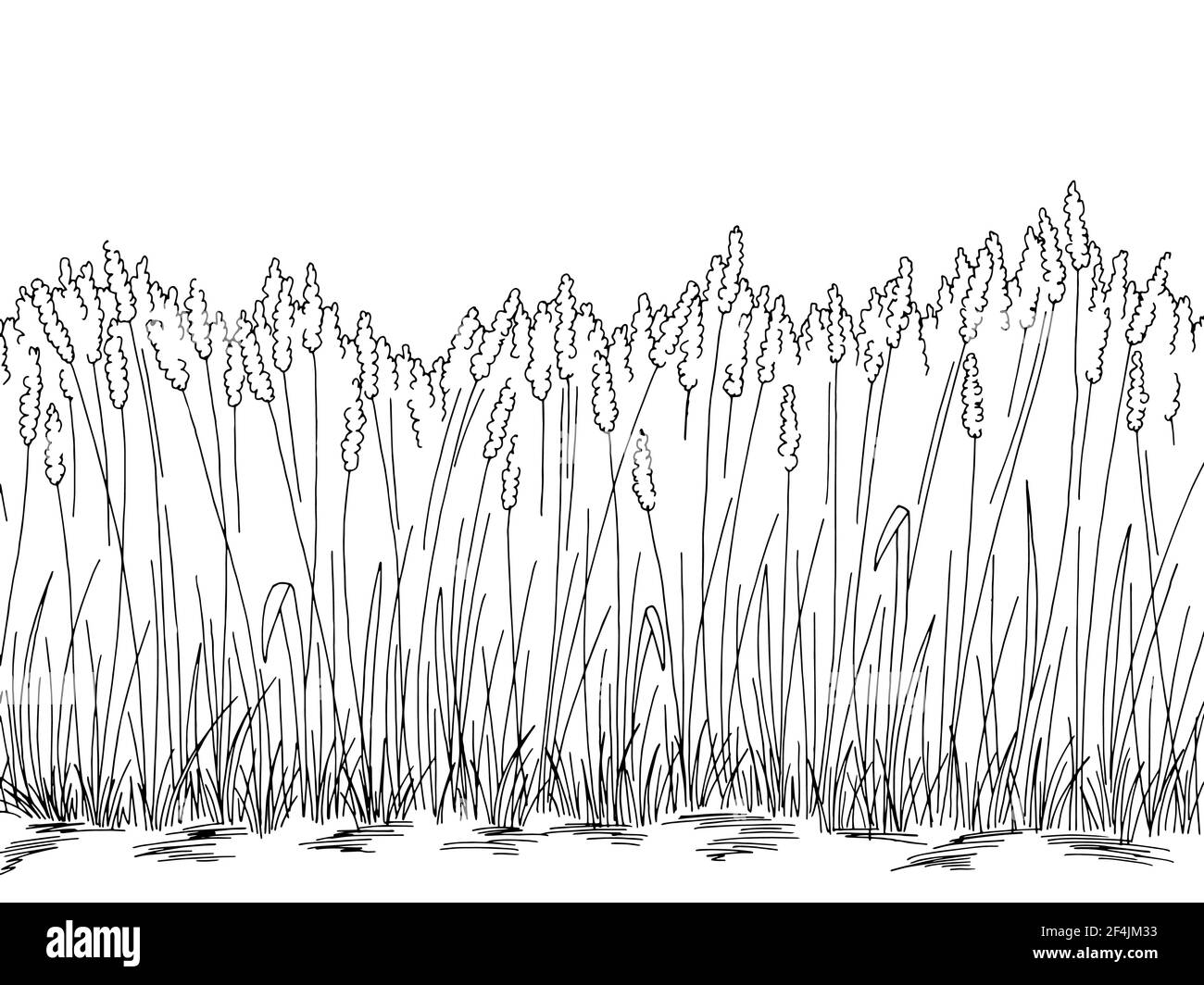 Graphique de champ noir blanc paysage illustration vecteur Illustration de Vecteur