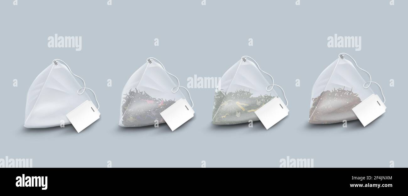 Sachets de thé en forme de pyramide avec feuilles et herbes Illustration de Vecteur