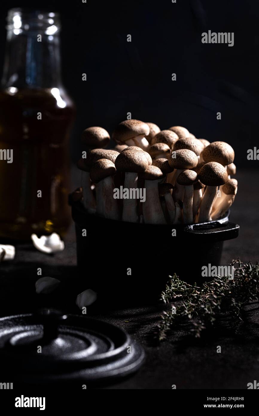 Groupe de champignons shimeji bruns dans une casserole en fonte noire décorée de thym, d'ail et d'huile d'olive Banque D'Images