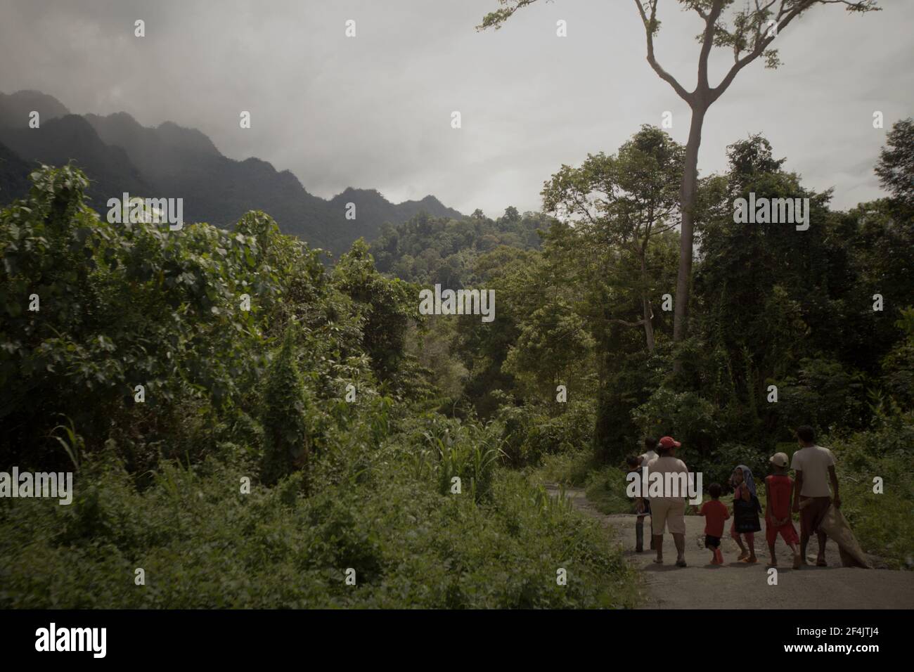 Femmes et enfants marchant sur la route rurale près de Sawai dans le nord de Seram, le centre de Maluku, Maluku, Indonésie. La forêt tropicale des basses terres et les sommets de montagne en bordure du parc national de Manusela sont vus au loin. La restauration ou le maintien de la terre dans sa forme naturelle est généralement plus bénéfique économiquement que la conversion de la terre pour des activités humaines comme l'exploitation forestière ou l'agriculture, Inside Climate News rapporte sur 13 mars 2021, affirmant avec audace que « sur la plupart des terres naturelles, le développement est un perdant financier ». Banque D'Images