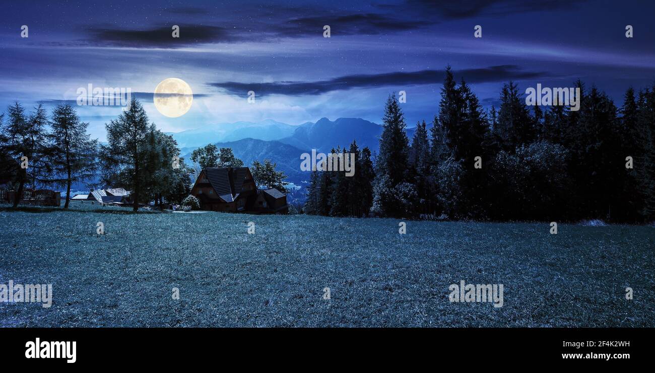 paysage rural dans les montagnes de tatra la nuit. épinettes sur la prairie herbacée. beau paysage de la nature dans la pleine lumière de lune. nuages au-dessus de la distance Banque D'Images paysage rural dans les montagnes de tatra la nuit. épinettes sur la prairie herbacée. beau paysage de la nature dans la pleine lumière de lune. nuages au-dessus de la distance Banque D'Images