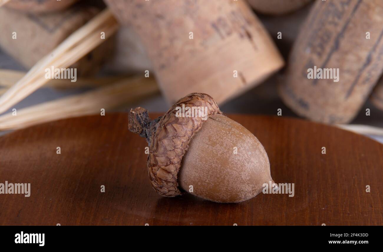 Acorn sur une assiette en bois avec des bouchons à vin en arrière-plan. Banque D'Images