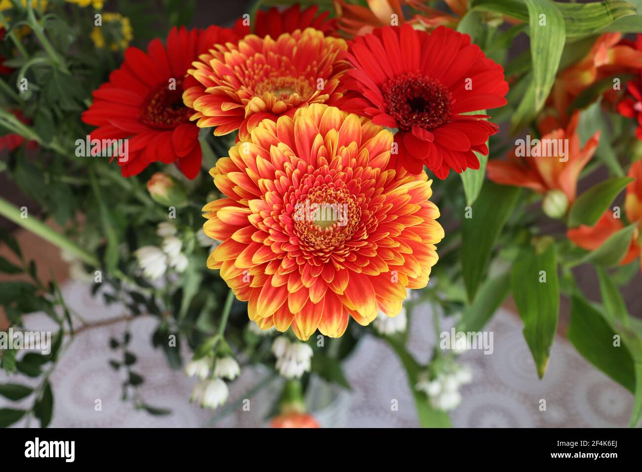 Bouquet de gerberas et autres fleurs. Banque D'Images