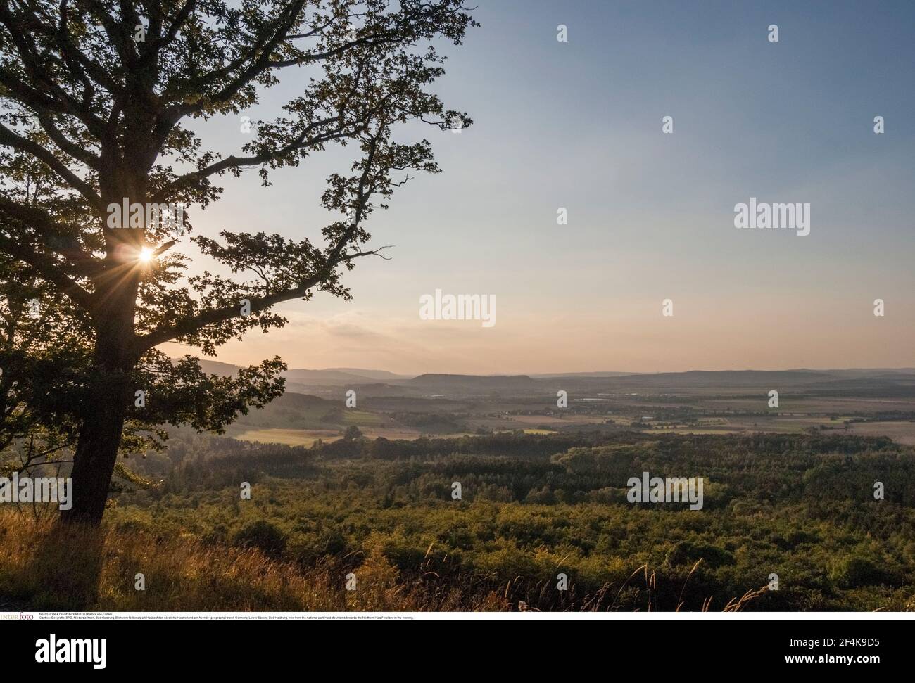Géographie / Voyage, Allemagne, Basse-Saxe, Bad Harzburg, vue du parc national de la montagne de Harz à, Additional-Rights-Clearance-Info-non-disponible Banque D'Images Géographie / Voyage, Allemagne, Basse-Saxe, Bad Harzburg, vue du parc national de la montagne de Harz à, Additional-Rights-Clearance-Info-non-disponible Banque D'Images