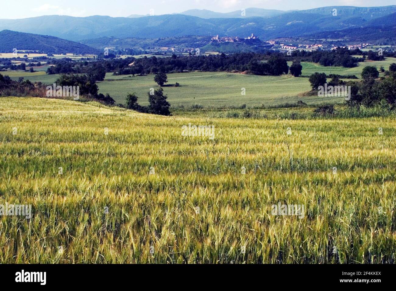 ESPAGNE - la Bureba (quartier) - Castille et Leon - BURGOS. Paisaje agrícola cerca de Poza de la Sal (comarca de la Bureba) Banque D'Images