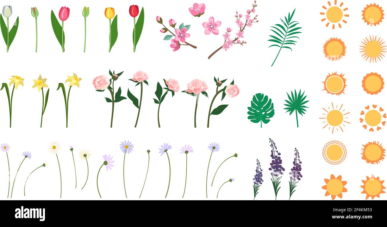 Ensemble de fleurs, feuilles et icône de soleil Illustration de Vecteur