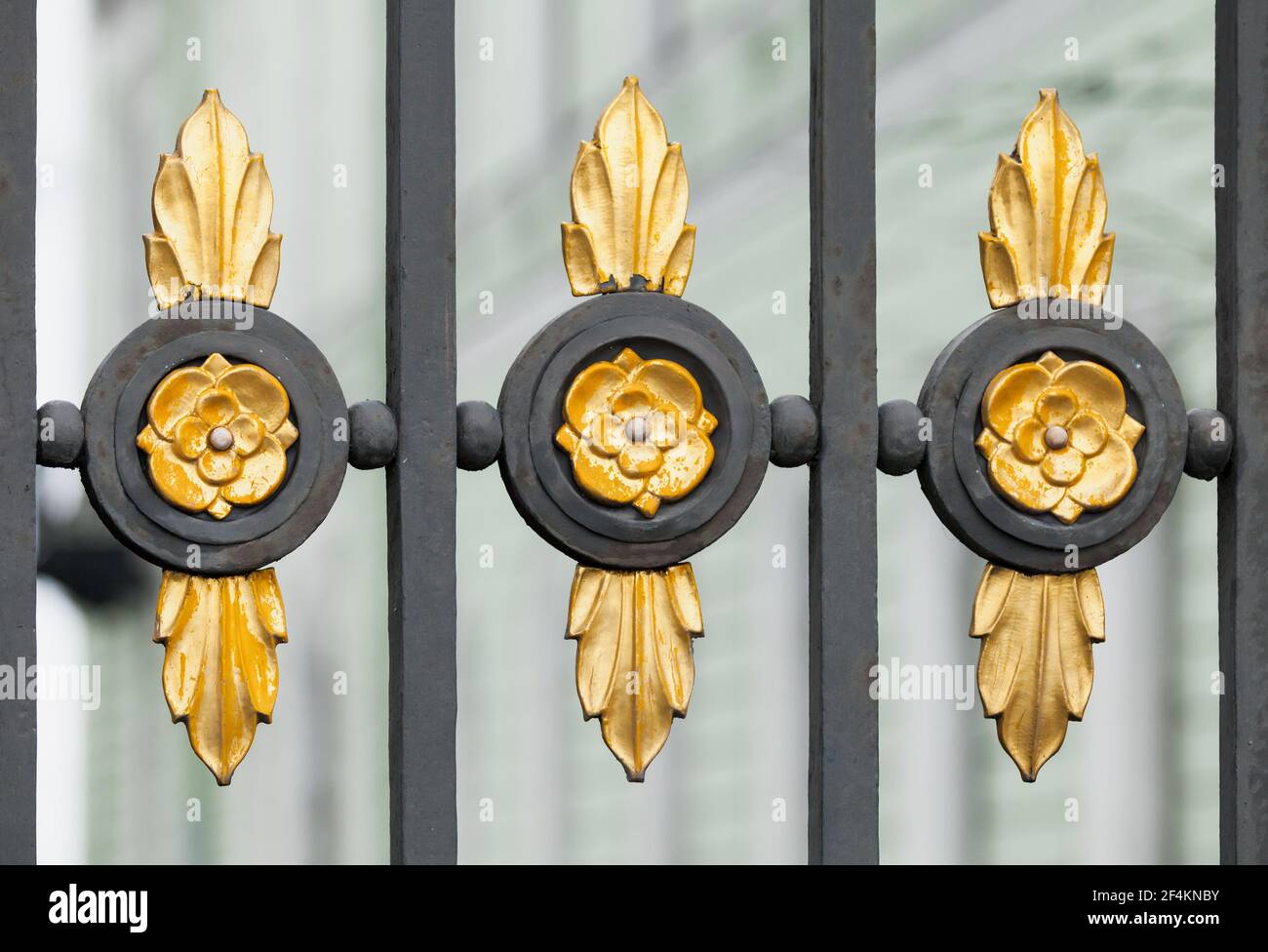 Treillis de gazon noir vintage avec éléments de décoration dorés. Architecture de Saint-Pétersbourg, Russie Banque D'Images