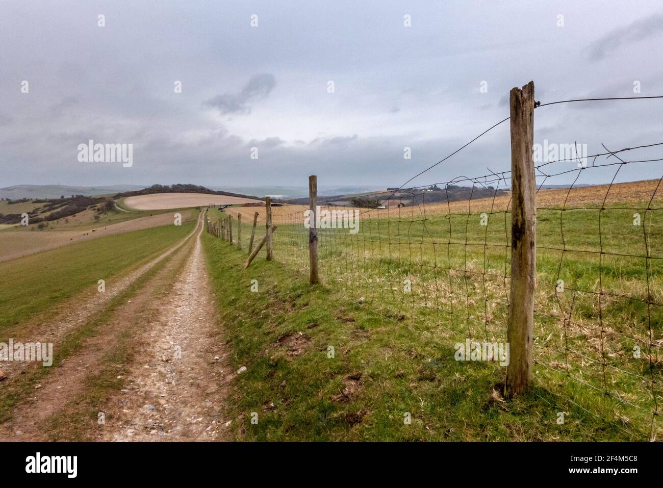 Brighton, le 18 mars 2021 : style escrime sur les South Downs, près du village de Telscombe Banque D'Images