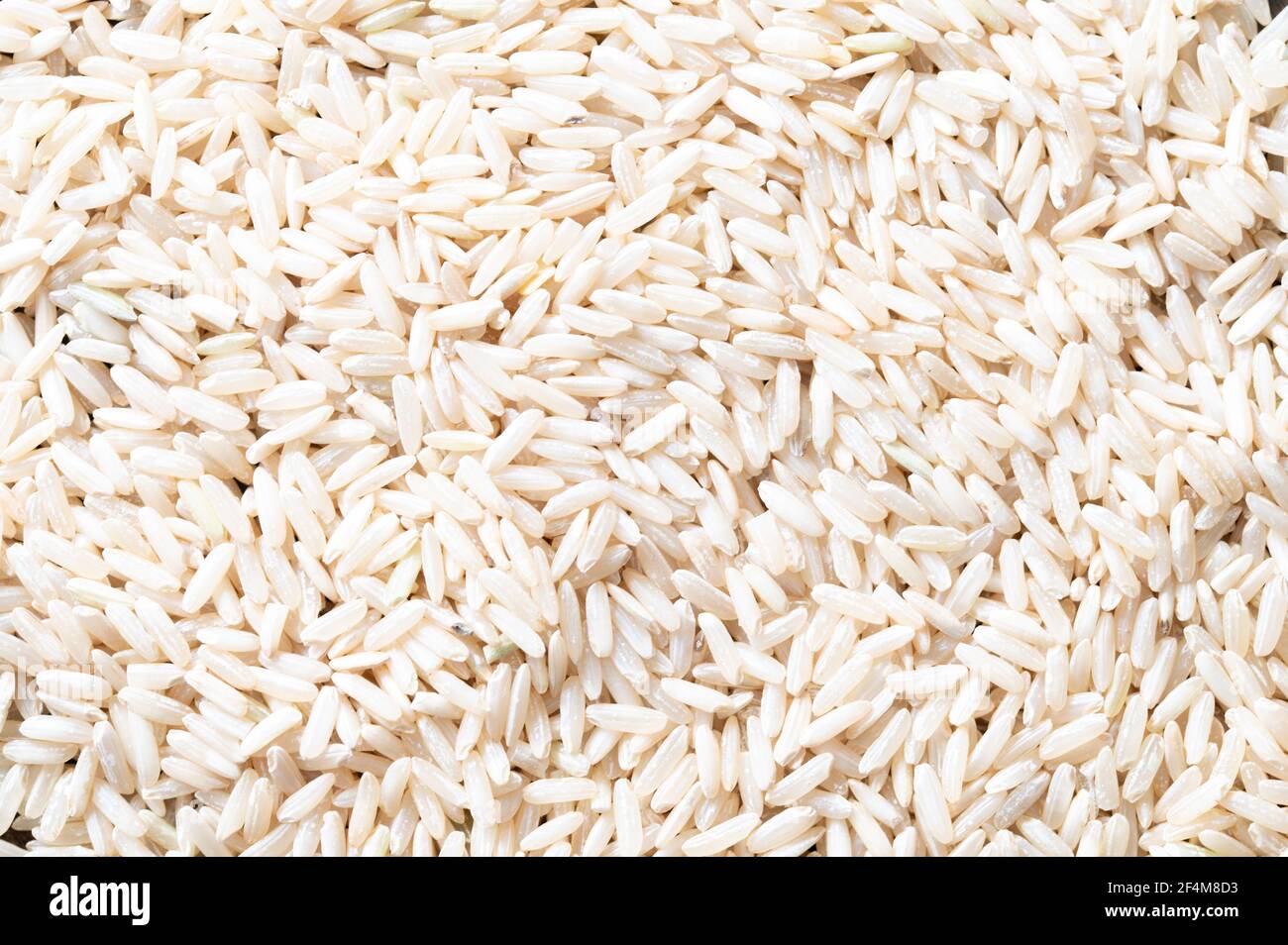 Lit de céréales de riz non cuites Banque D'Images