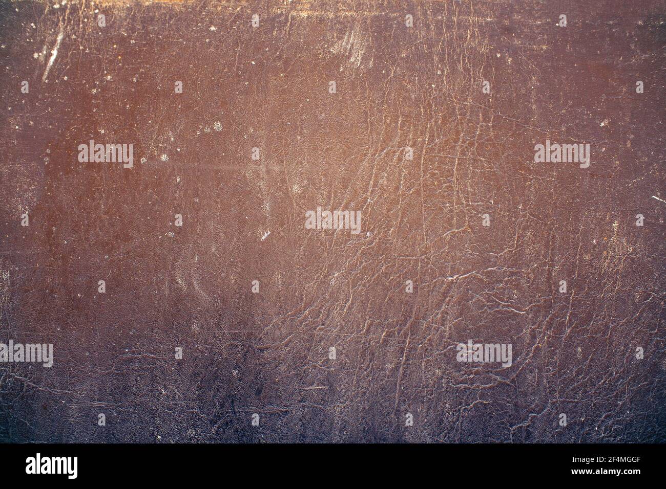 Texture du vieux cuir travaillé pour le fond et le design Banque D'Images