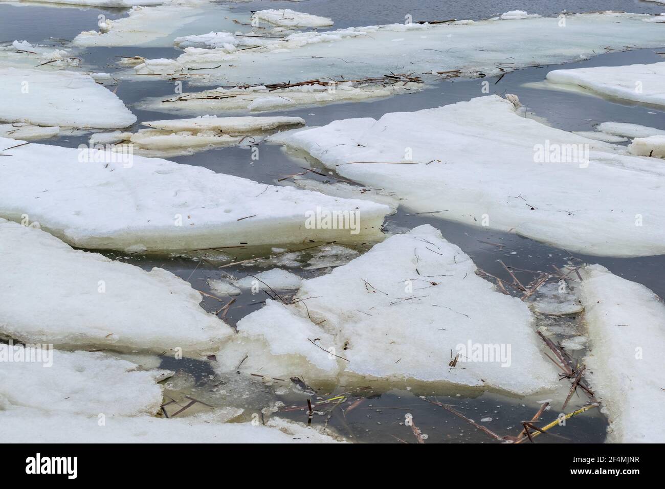 Dérive de la glace en fusion au printemps Banque D'Images