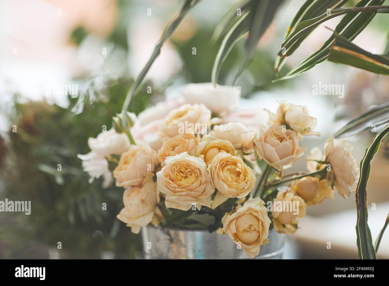 Atelier de roses Banque de photographies et d’images à haute résolution