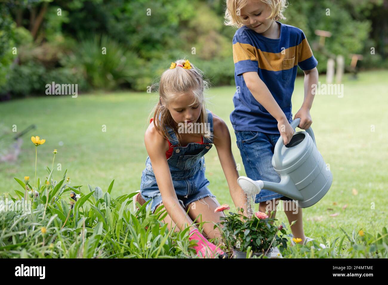 Heureux frère caucasien et soeur dans le jardin arroser les plantes et jardinage ensemble Banque D'Images