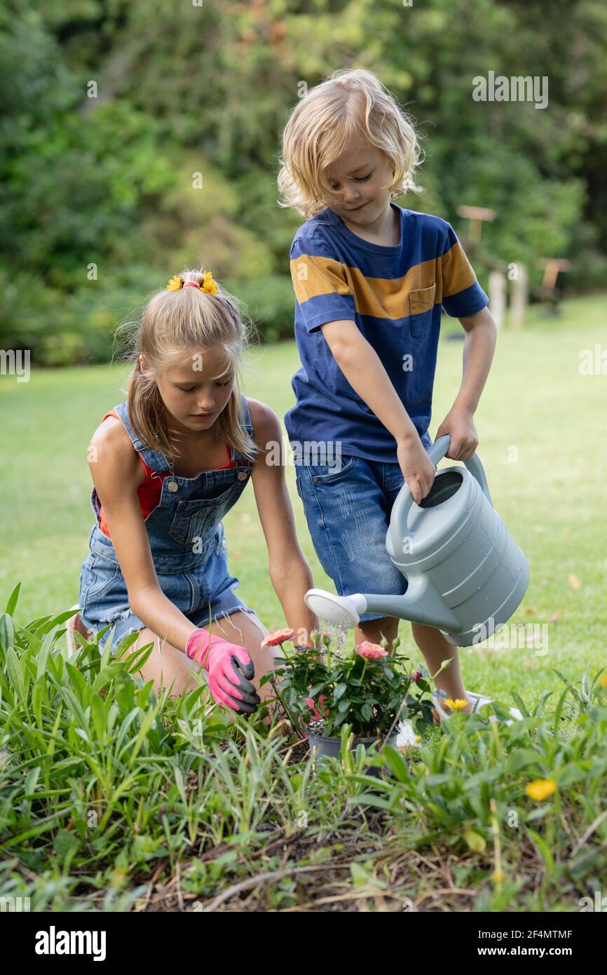 Heureux frère caucasien et soeur dans le jardin arroser les plantes et jardinage ensemble Banque D'Images